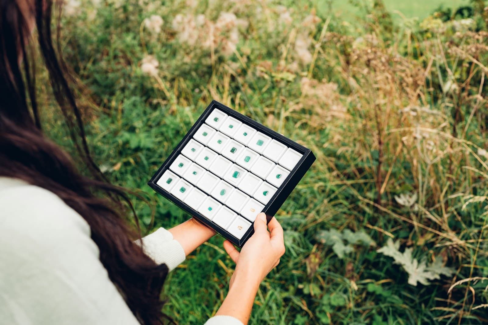 Personne consultant des données sur une tablette au milieu d’une parcelle